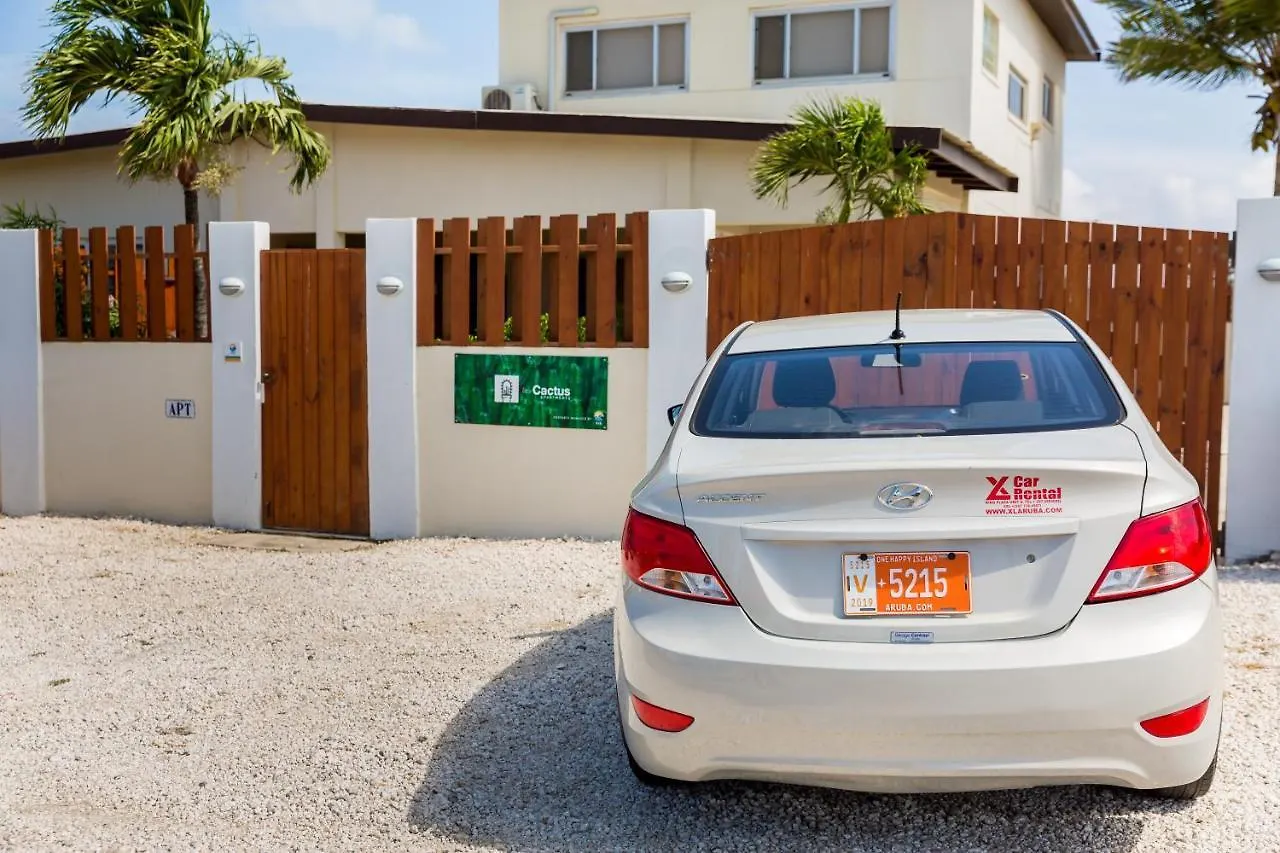 Little Cactus Apartments Aruba Palm Beach Aruba